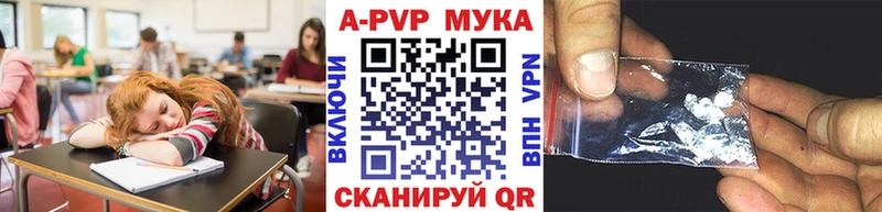 Купить где  Котлас  Alfa_PVP СК 