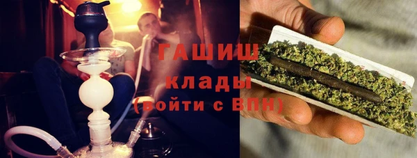 индика Бугульма