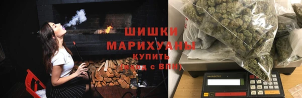 индика Бугульма