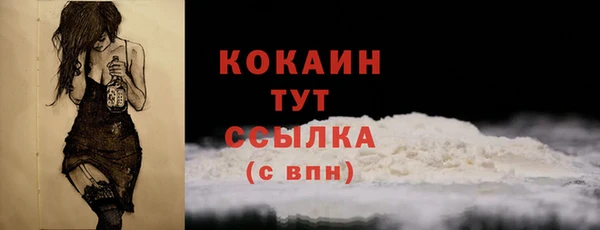 индика Бугульма