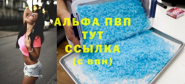 стафф Бородино