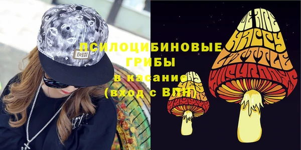 ГАЛЛЮЦИНОГЕННЫЕ ГРИБЫ Гусиноозёрск