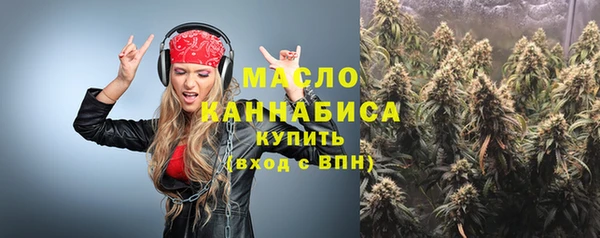 индика Бугульма