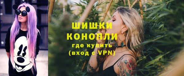 стафф Бородино