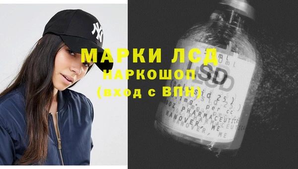 стафф Бородино