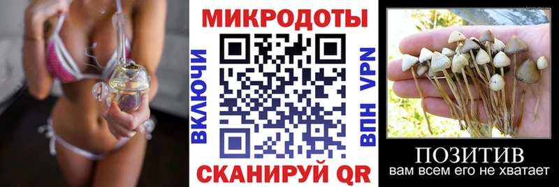 Галлюциногенные грибы мицелий  Купить где  Котлас 
